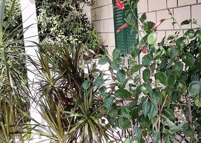 A2 Apartment Fani Kanun Apartment