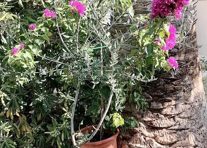 A2 Apartment Fani Kanun Apartment *