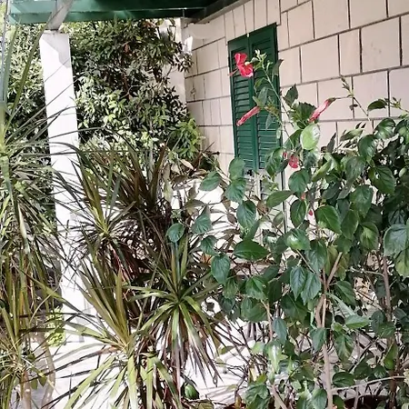 Fani Kanun Apartment